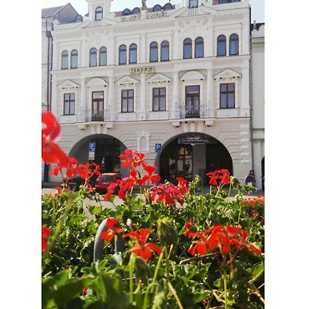 Hotel Zlaty Andel ジャテツ エクステリア 写真