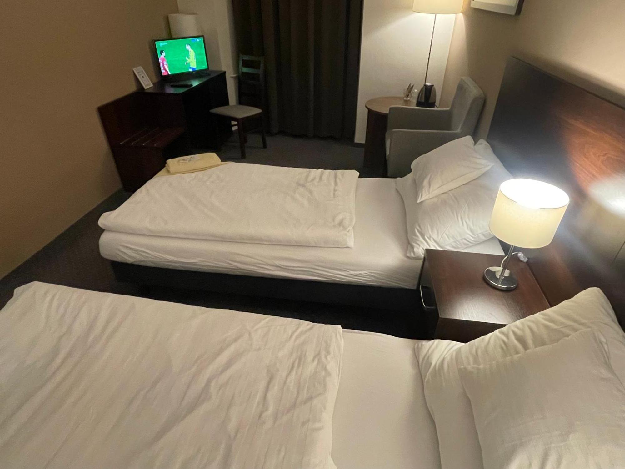 Hotel Zlaty Andel ジャテツ エクステリア 写真